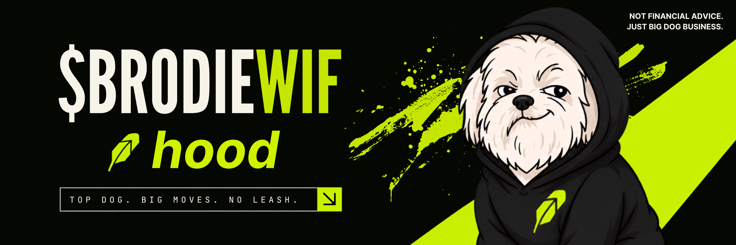 $brodieWif wide banner with Brodie in a hood, lime graffiti, and the project tagline.