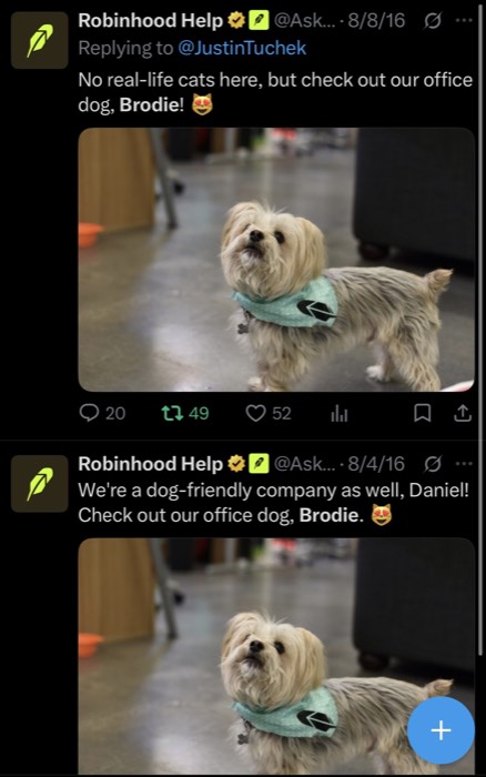 Supplied X post screenshot featuring the original photo of Brodie.